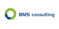 BMS Consulting 